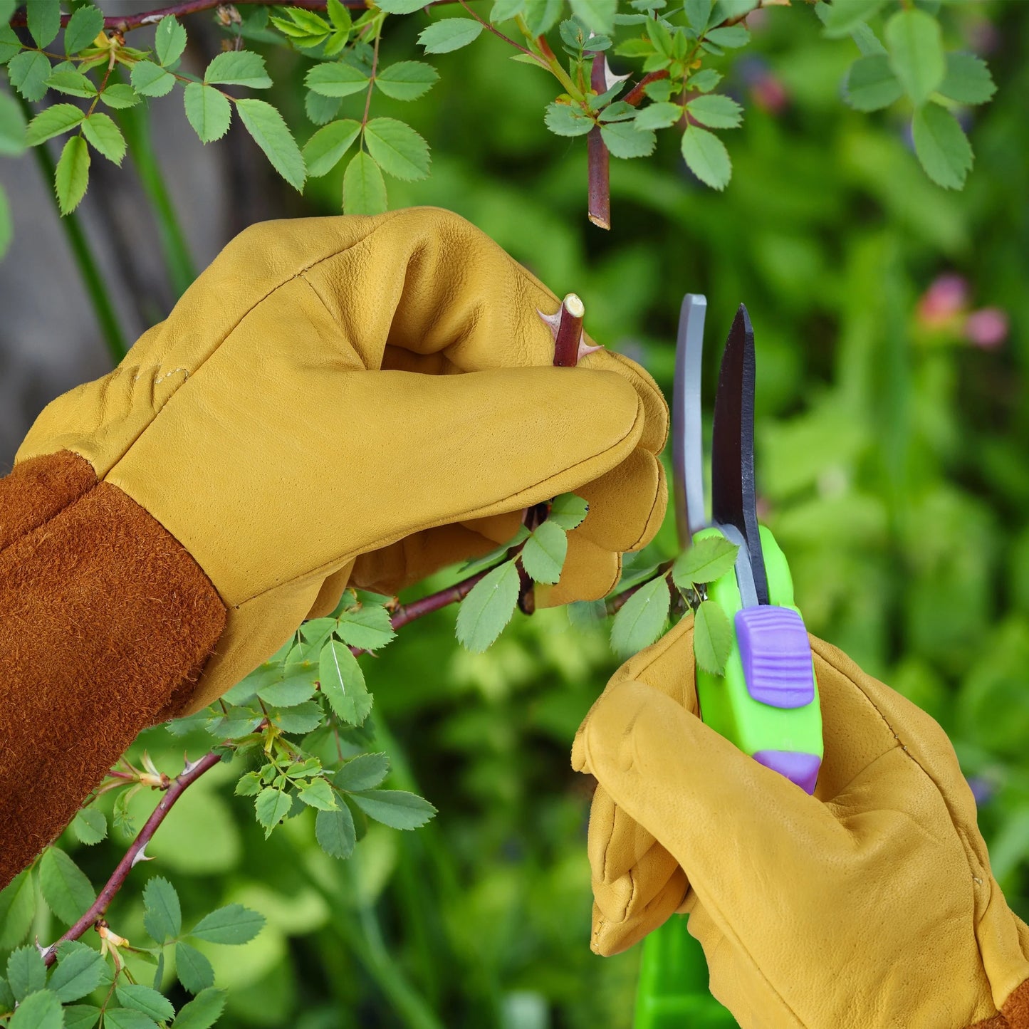 Professional Gardening Gloves: Thorn-proof, adjustable cuff, breathable leather, forearm protection. Ideal for gardening