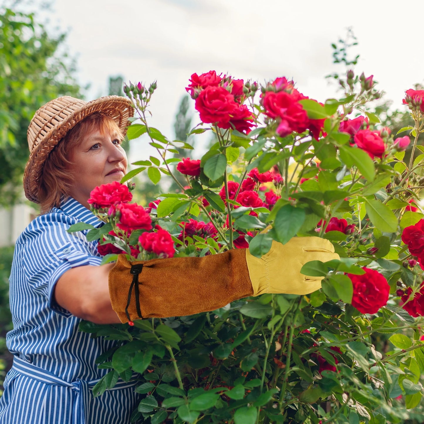 Professional Gardening Gloves: Thorn-proof, adjustable cuff, breathable leather, forearm protection. Ideal for gardening